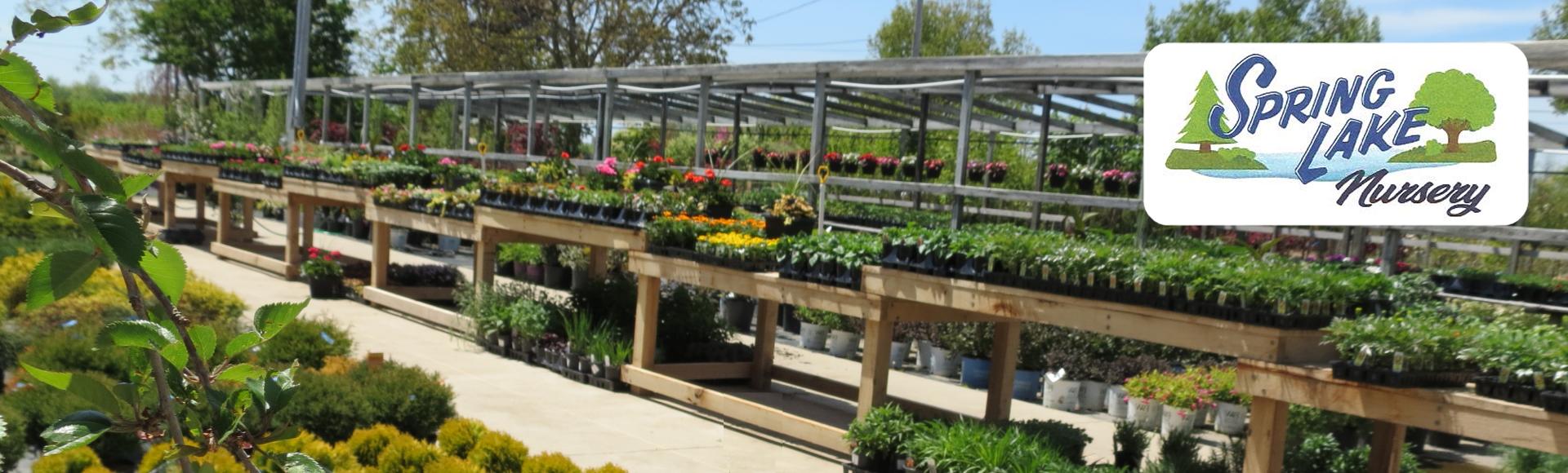 Spring Lake Nursery, Perry Ohio, wholesale and retail plants trees flowers